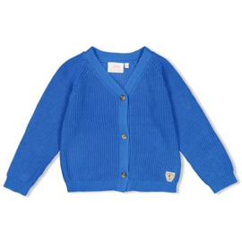 Jubel Vest gebreid - Amour Toujours 91300167