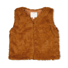 Jubel Gilet Forrest Fancy teddy 91200016