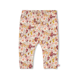 Broek wild flowers 52202152