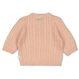 Sweather gebreid The Knits pink 51602678