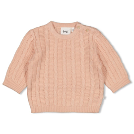 Sweather gebreid The Knits pink 51602678
