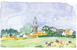 SP006 | Groede