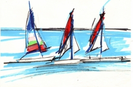 2014 MW 010 Catamarans bij het Zwin