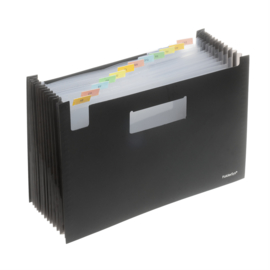 Set van 2 x Harmonica Organizer 12-vaks A4 FS70036
