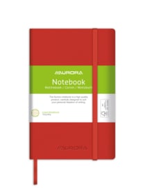 Set van 10 x Notitieboekje/Notebook Python A6, gelinieerd, met elastiek 1496VAT
