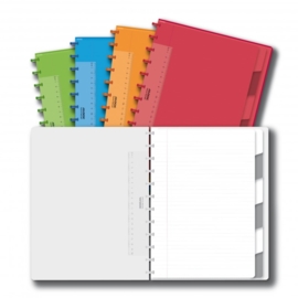ADOC Colorlines A4 Notebook + Pockets + Dividers Feint