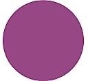 Plus color Verf 60 ml. diep fuchsia