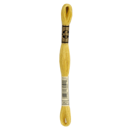 DMC mouliné 1 streng 3821