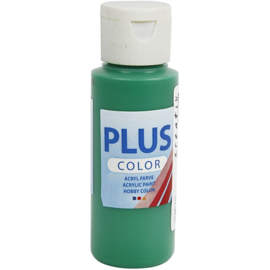 Plus color Verf 60 ml. briljant groen