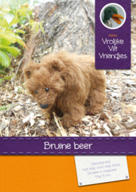 PAKKET Bruine beer