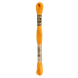 DMC mouliné 1 streng 741