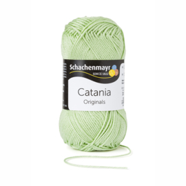 Catania Pale Green 290 Trend 2020