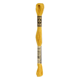 DMC mouliné 1 streng 728