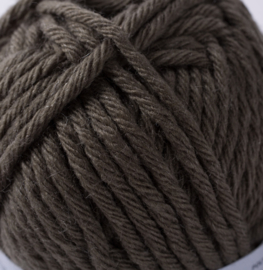 Lichen 108