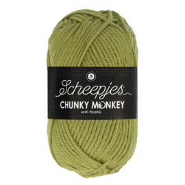 Scheepjes Chunky Monkey 1065 sage