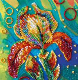 Multicolored Iris borduren met kraaltjes