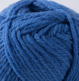 Bleuet 025