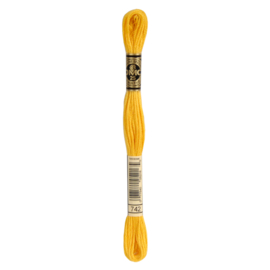 DMC mouliné 1 streng 742