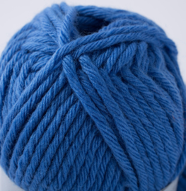 Bleuet 043