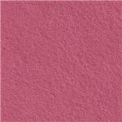 CP017 ROSE ANGLAIS BEURRE FRAIS  30 x 45 cm.