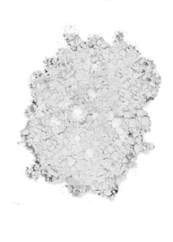 Calciumhydroxide 100 gr.