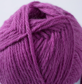 Fuchsia 021