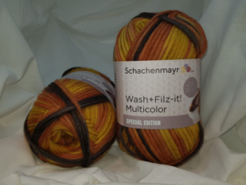 Schachenmayr Wash+Filz-It! Multicolor 200 gram kleur 264