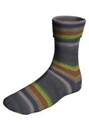 Lang Yarns Super Soxx Colorfulcitiessoxx  | 901.0499