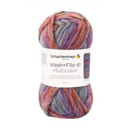 Wash+Filz-it! Multicolor 50 meter / 50 gram - Kleur 251