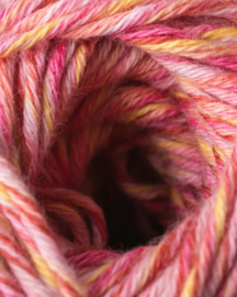 Phildar Rainbow Pivoine