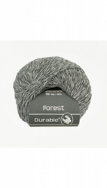 durable-forest-4012