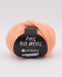 Phildar Big Wool Pamplemousse