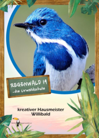 Opal Regenwald 11333