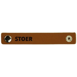 Durable 020.1202 Leren Label Stoer 10x1,5 cm - Kleur 004