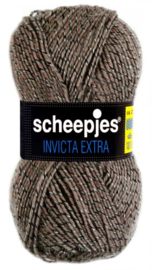 Scheepjes Invicta Extra 1362