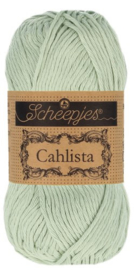 Scheepjes Cahlista 402 Silver Green