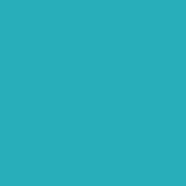 Uni Cotton 6006-48 l. turquoise