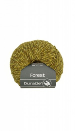 durable-forest-4017
