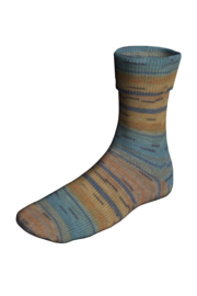Lang Yarns Super Soxx CometSoxx| 901.0494