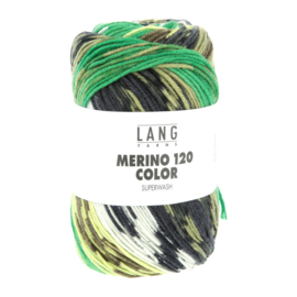 Lang Yarns Merino 120 Color | 47.0010