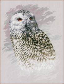 TELPAKKET KIT SNOWY OWL