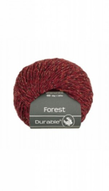 durable-forest-4019