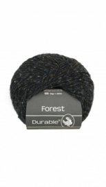 durable-forest-4006