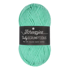 Scheepjes Truly Scrumptious   340 Mint Whoopie Pie