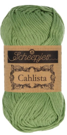 Scheepjes Cahlista 212 Forest Green