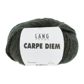 Lang Yarns Carpe Diem 398