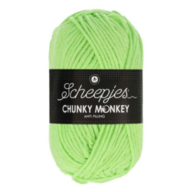 Scheepjes Chunkey Monkey 1316 Pistachio