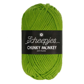 Scheepjes Chunkey Monkey 2016 Fern