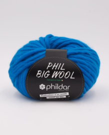 Phildar Big Wool Piscine
