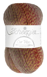 Scheepjes Our Tribe 961 Fifty shades of 4ply
